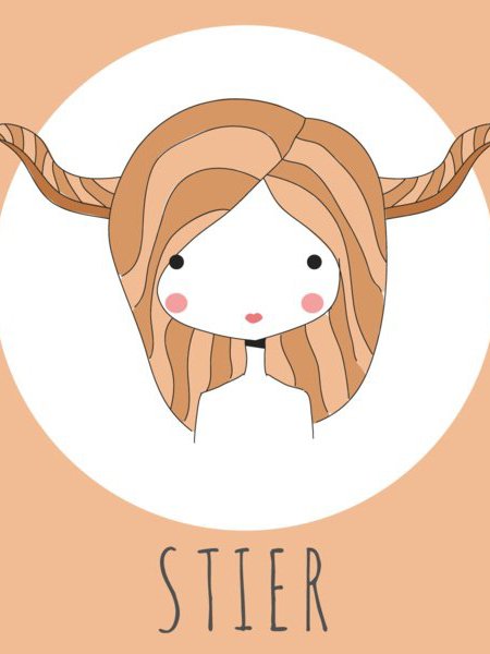 Stier