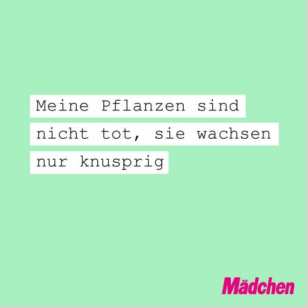 Kein grüner Daumen