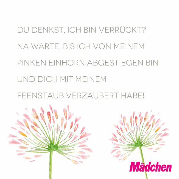 Witzige WhatsApp-Sprüche: Einhorn