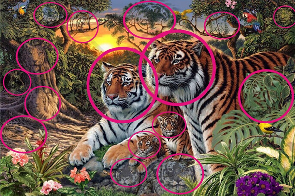  Wie viele Tiger? Lösung