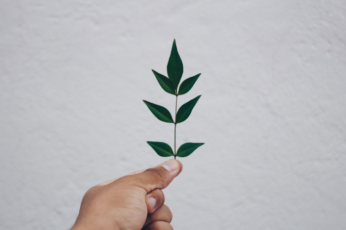 4 Tipps, wie du am meisten CO2 einsparen kannst