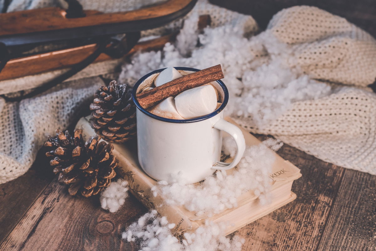 Diät an Weihnachten? Darum sollten wir an Weihnachten naschen!