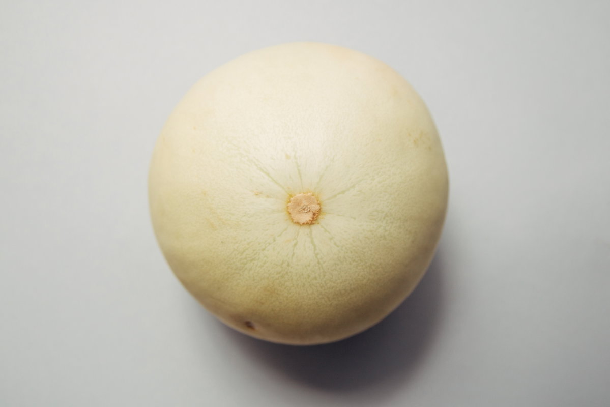 Nippel