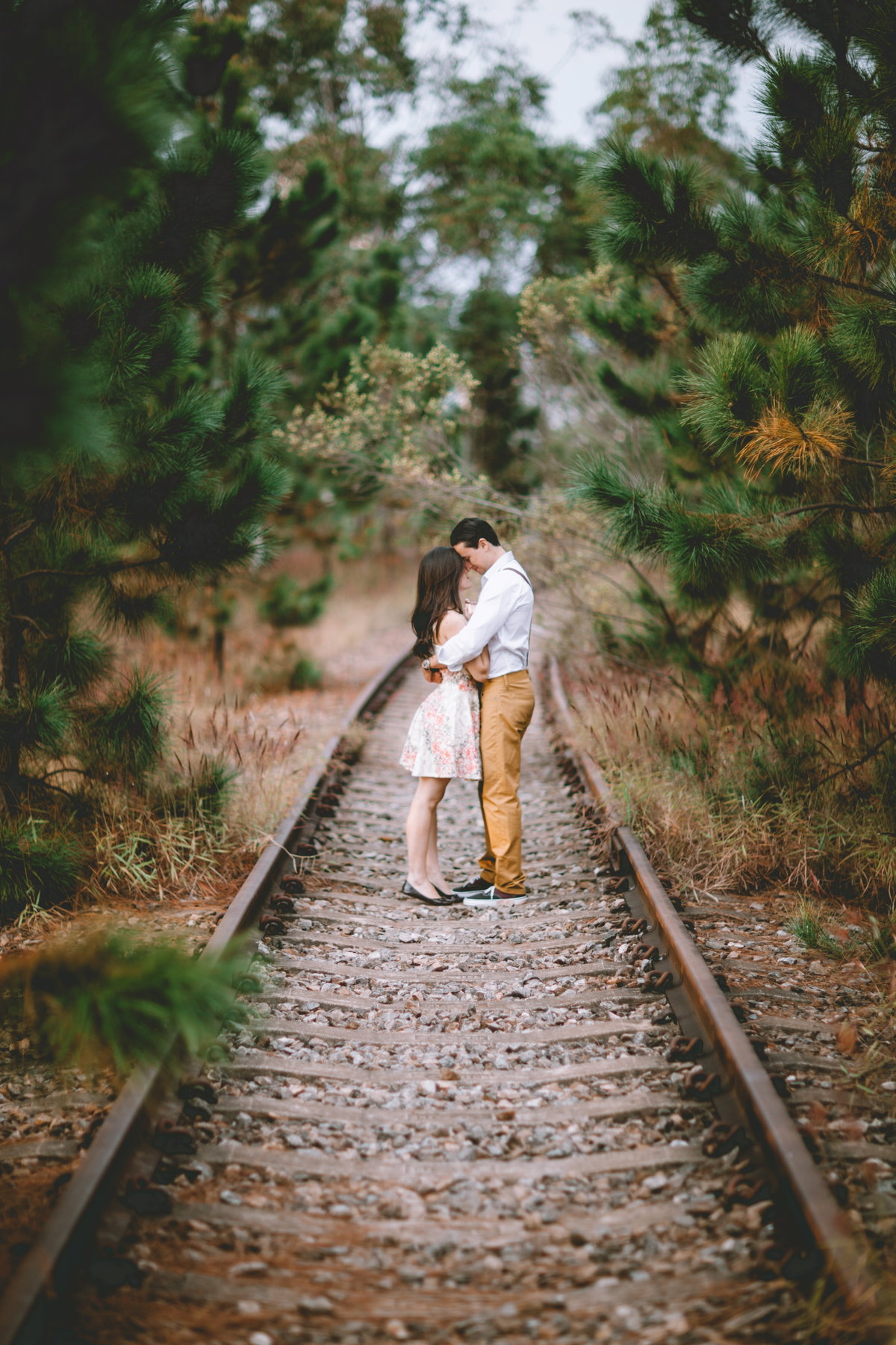 Liebesgeschichte: Summer Love