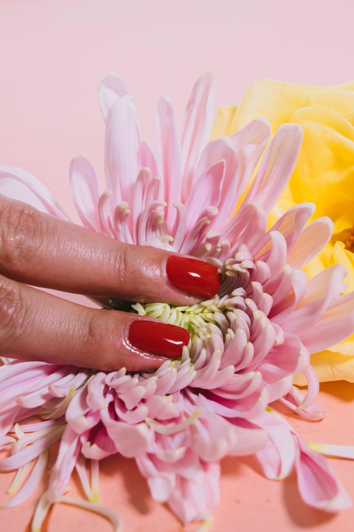 Finger pressen auf eine Blüte