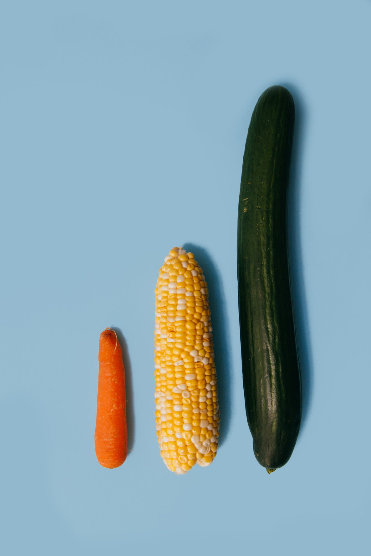 Gurke, Mais und Karotte nebeneinander