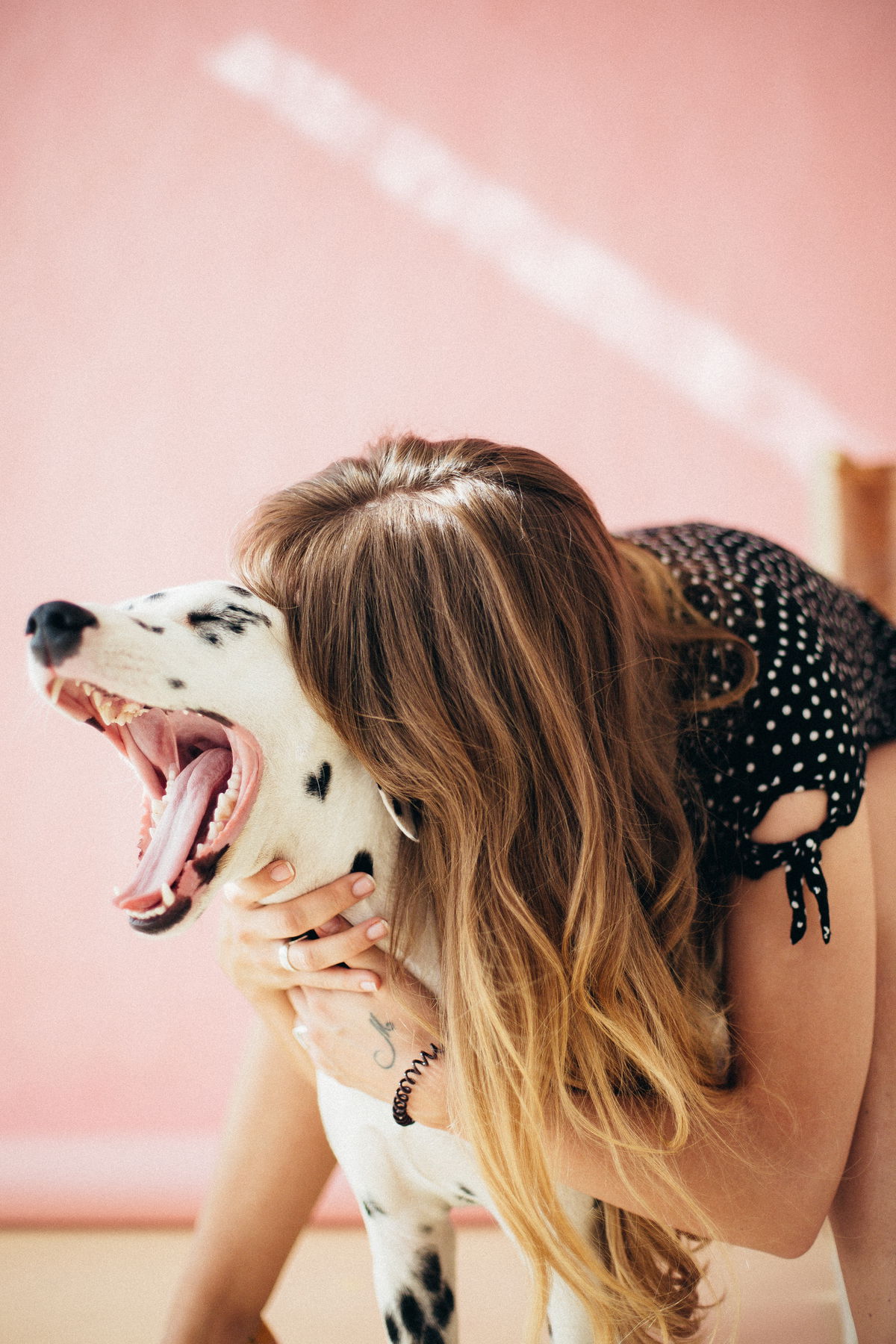 Dogfluencer: So wird dein Hund zum Social Media Star