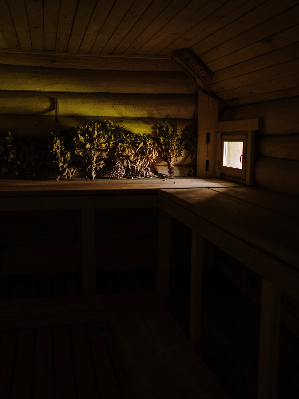 Sex in der Sauna