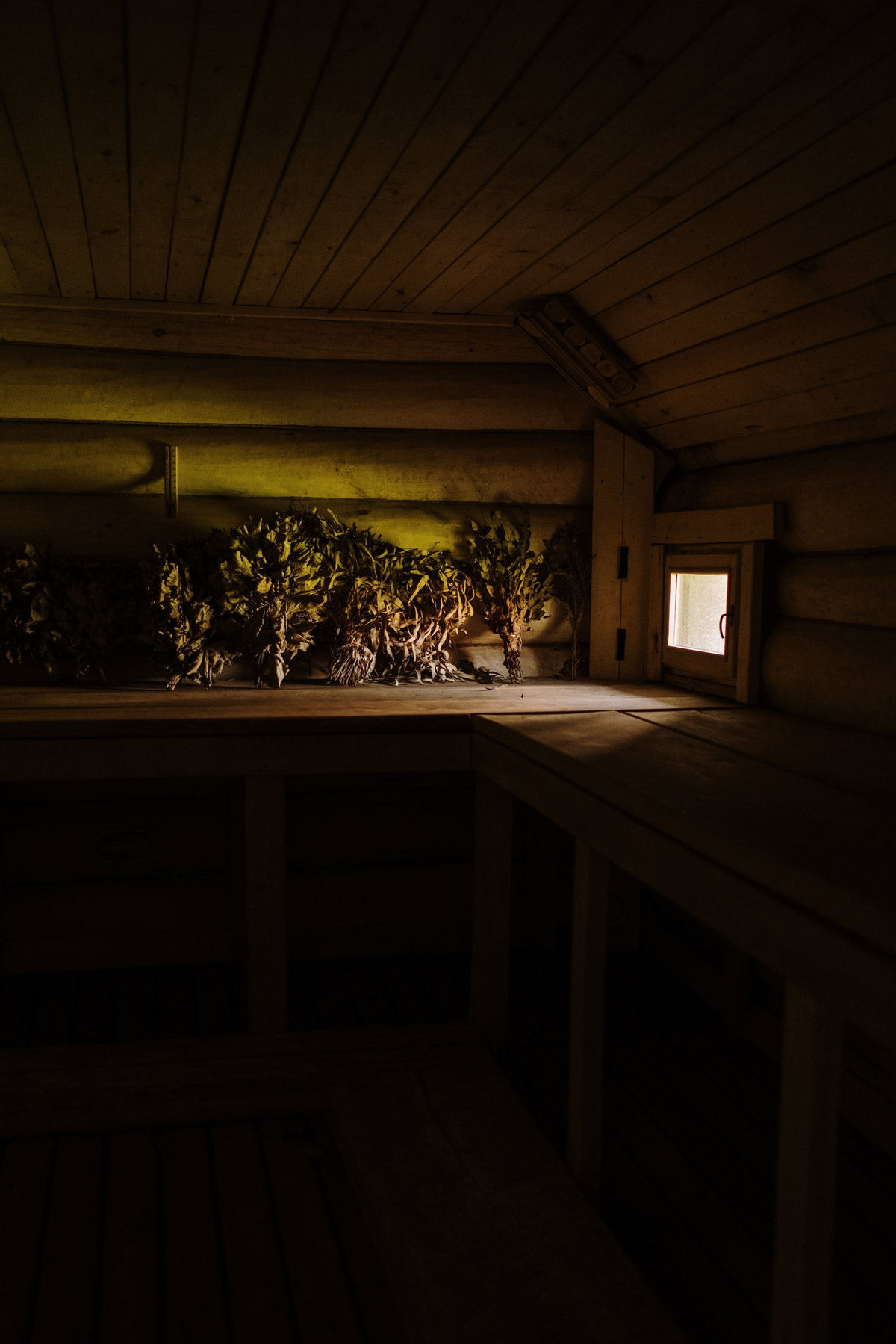 Sex in der Sauna