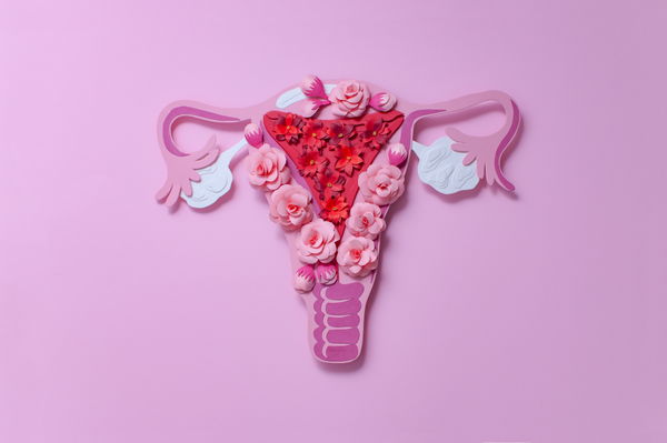 Was genau ist ein Eisprung? So funktioniert der weibliche Zyklus