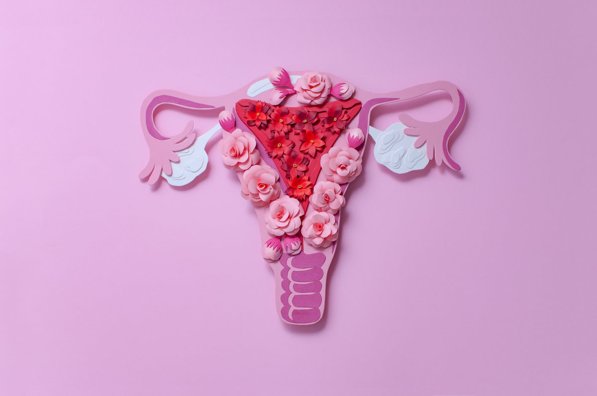 Eisprung Gebärmutter
