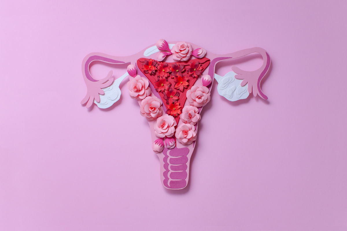 Was genau ist ein Eisprung? So funktioniert der weibliche Zyklus