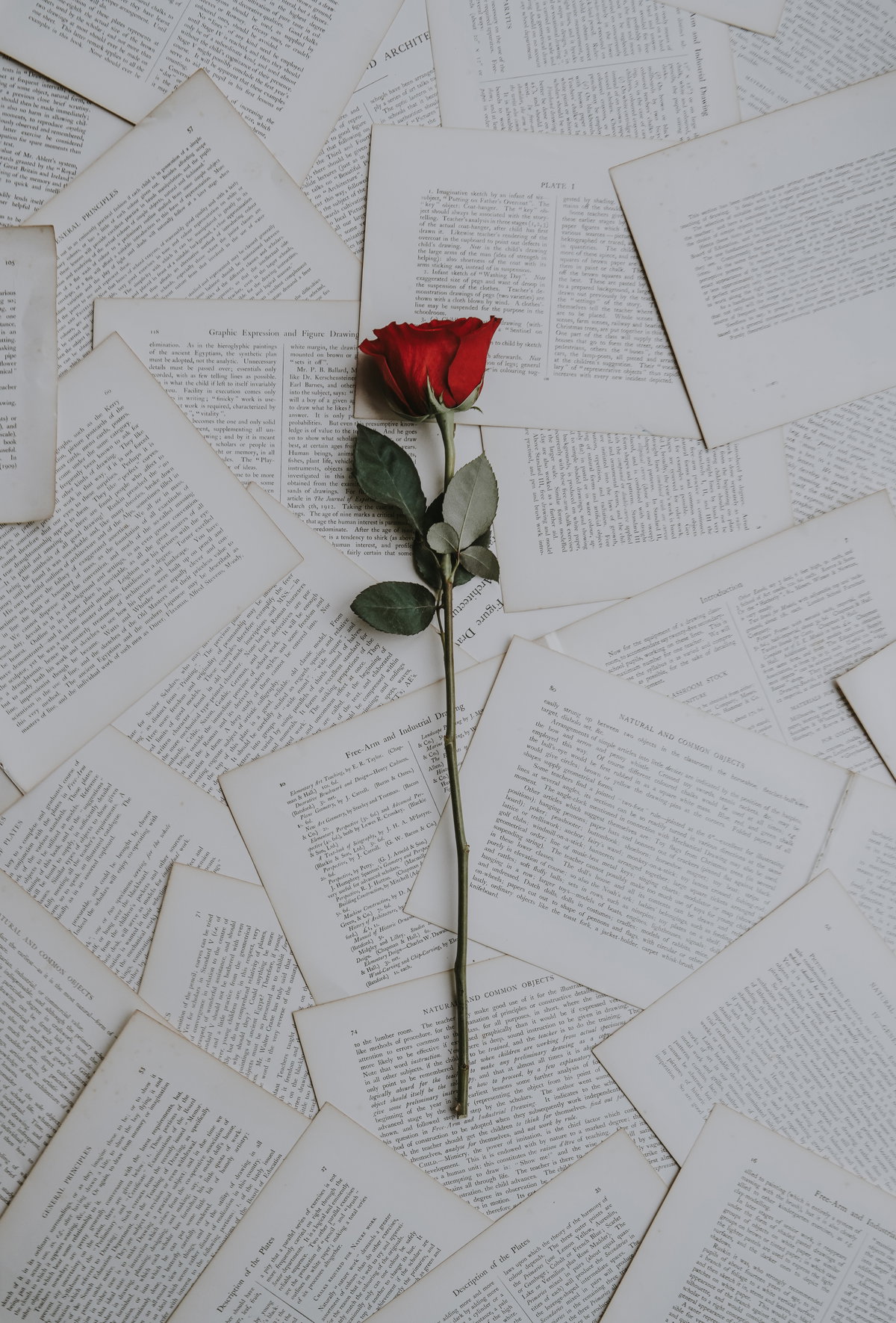Ich liebe dich Texte
