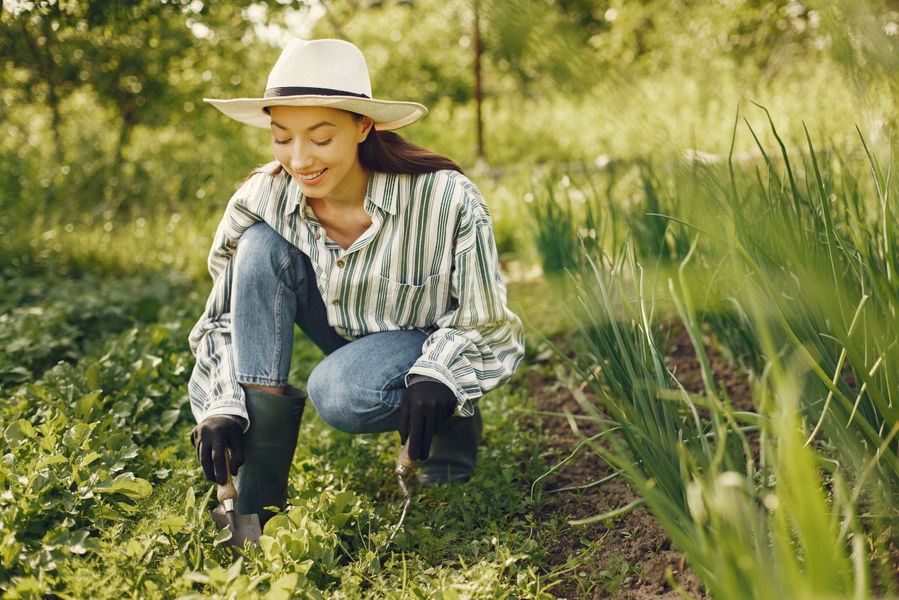 Stauden: Die heimlichen Stars im Garten