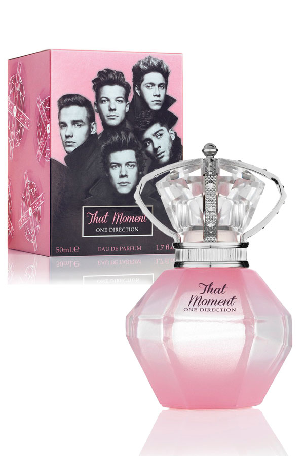 One Direction - That Moment