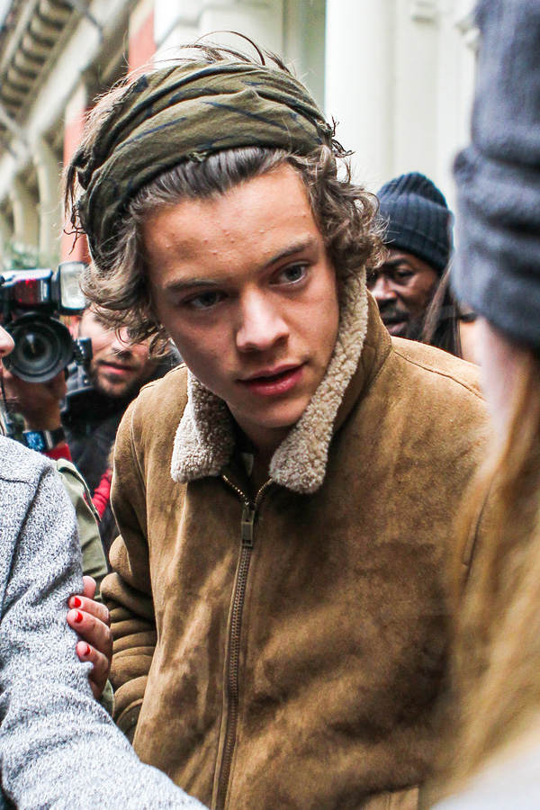 Harry Styles mit Wuschelfrisur