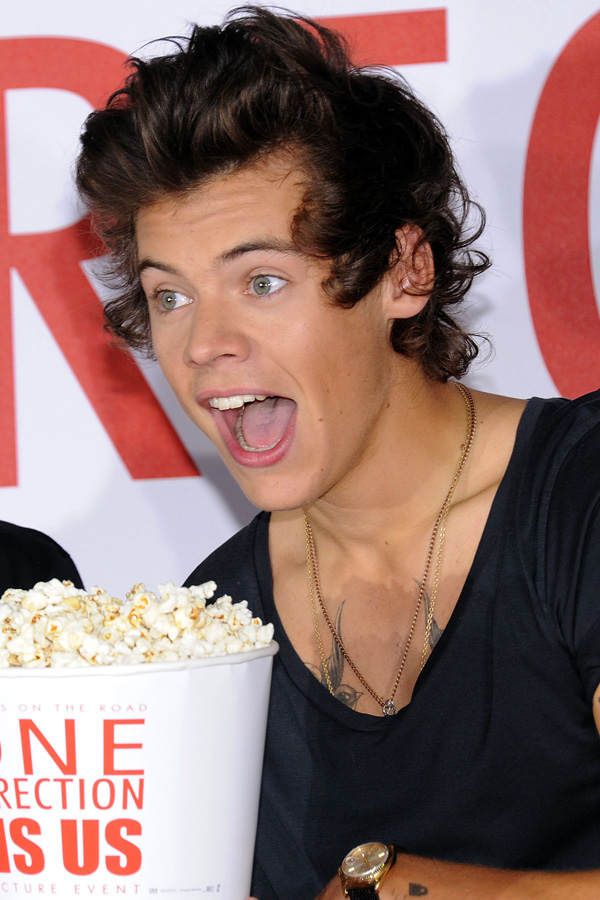 Harry Styles Brustwarzen