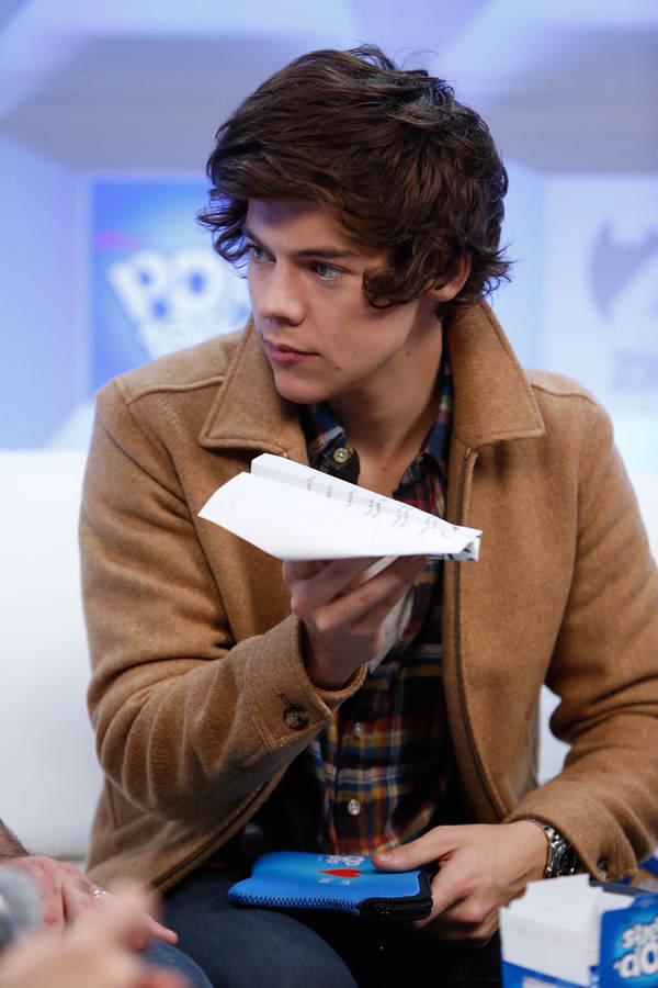 Harry Styles Freundin