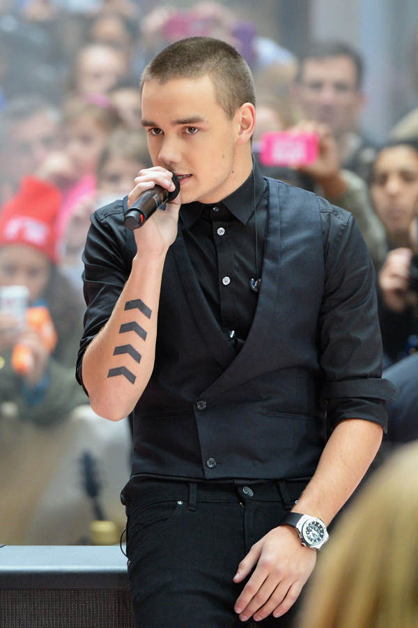 Liam Payne Niere