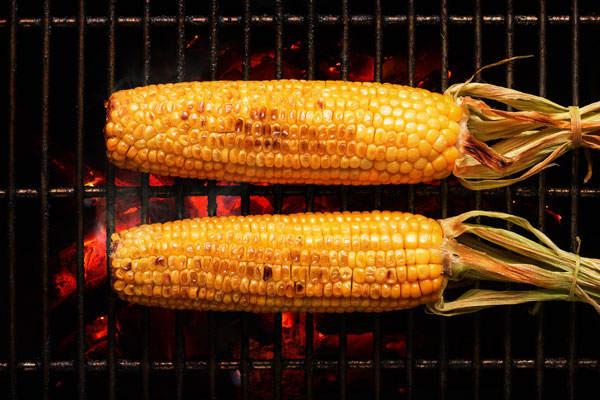 Gegrillte Maiskolben