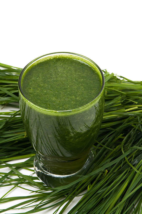 Weizengras - ein echter Powerdrink!