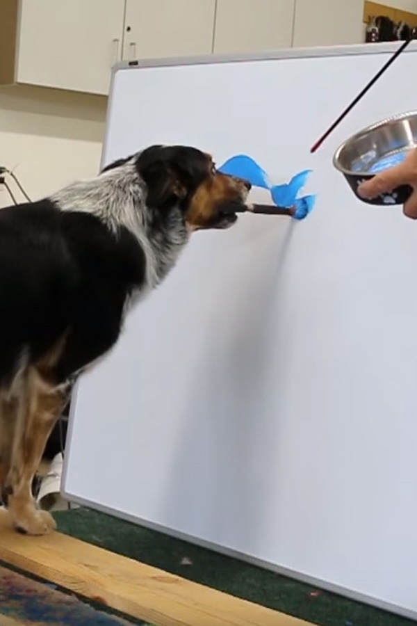 Dieser Hund kann malen