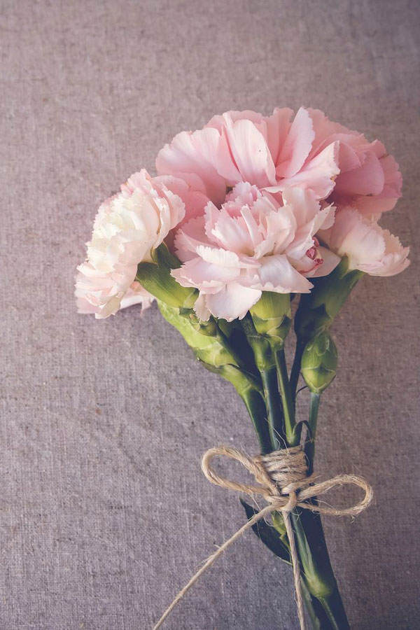 Januar Geburtsblume