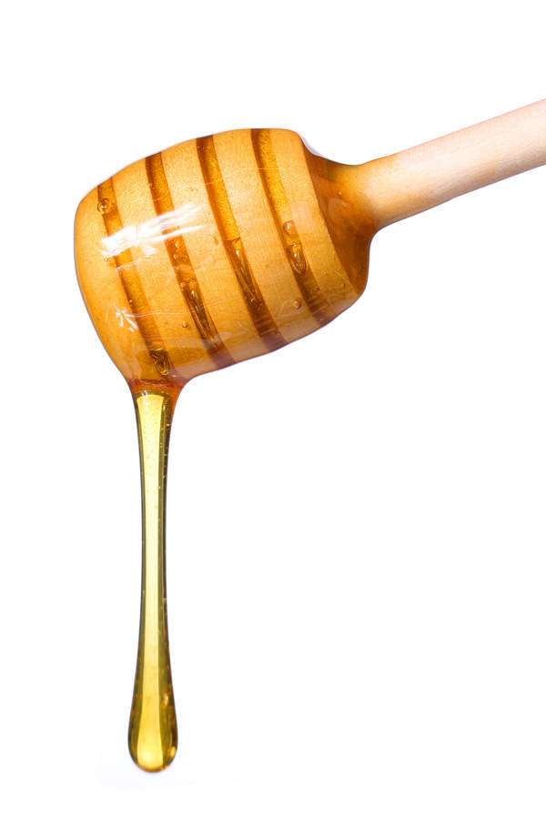 Honig-Ei-Shampoo