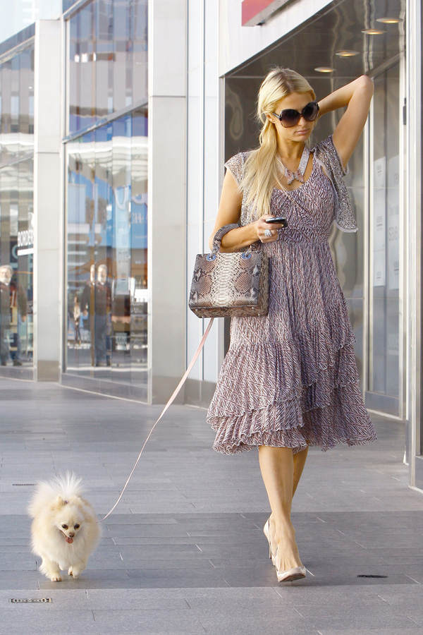 Paris Hilton mit Hund