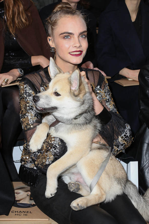 Cara Delevingne nimmt Hund mit zur Chanel-Show