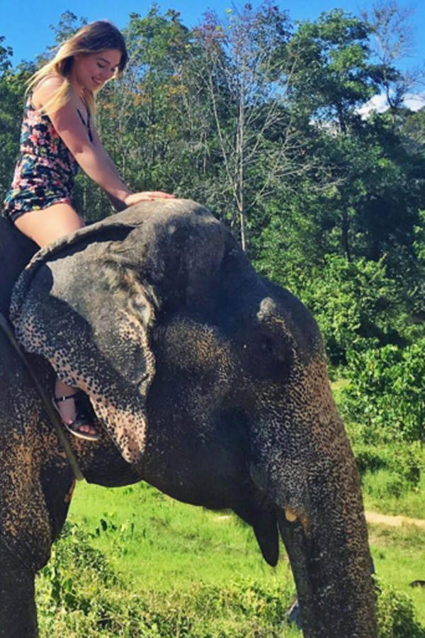 Luna Darko kirtisiert Bibi wegen Elefanten-Foto