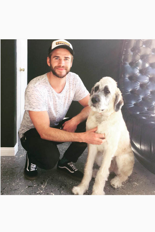 Liam Hemsworth: Hund