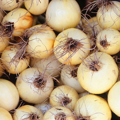 Zwiebel Hustensaft