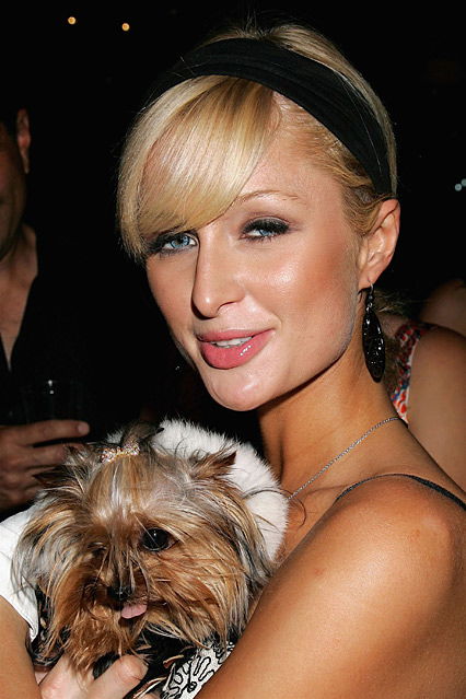 Paris Hilton Luxushotel für Hunde?
