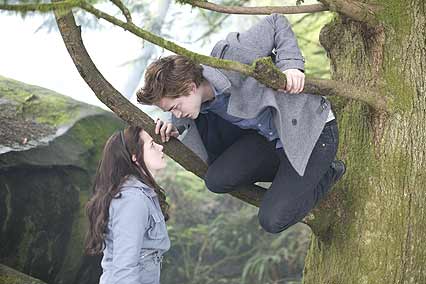 twilight biss zum morgengrauen