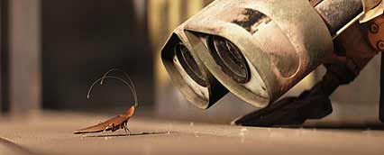 Wall-E und die Kakerlake Hal