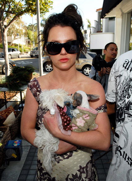 Britney Spears mit ihren Hunden