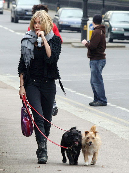 Sienna Miller mit ihren Hunden