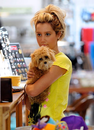 Ashley Tisdale mit ihrem süßem Hund auf dem Arm