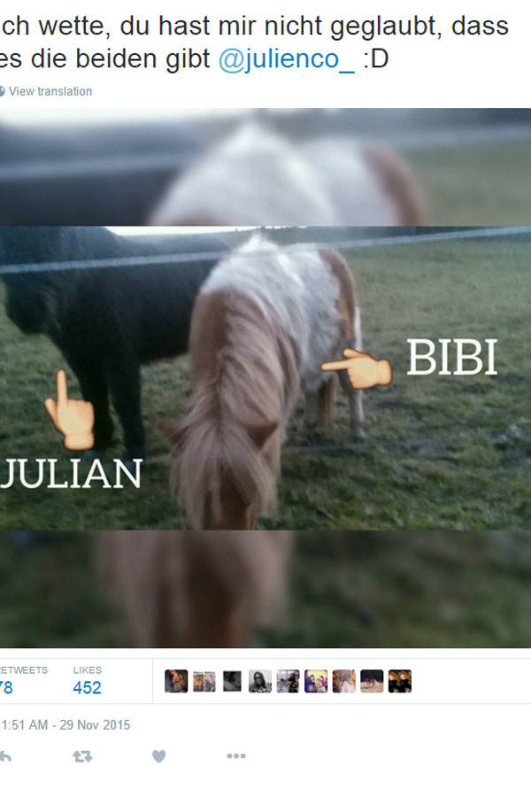 Bibi & Julian als Pferde