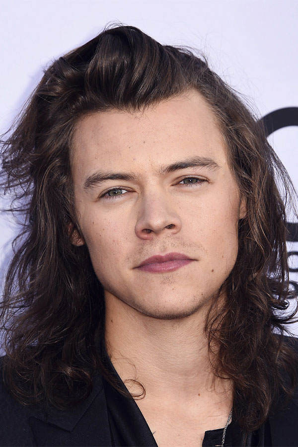 Harry Styles mit Augenbrauen