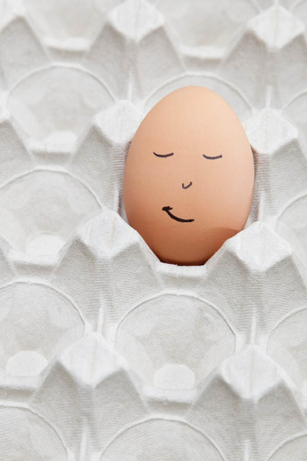 Eier