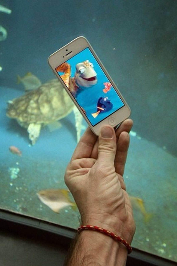 Findet Nemo