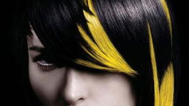 Color Block Hair in Schwarz Gelb