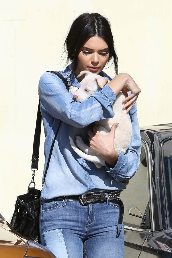 Kendall Jenner hat einen Hund adoptiert