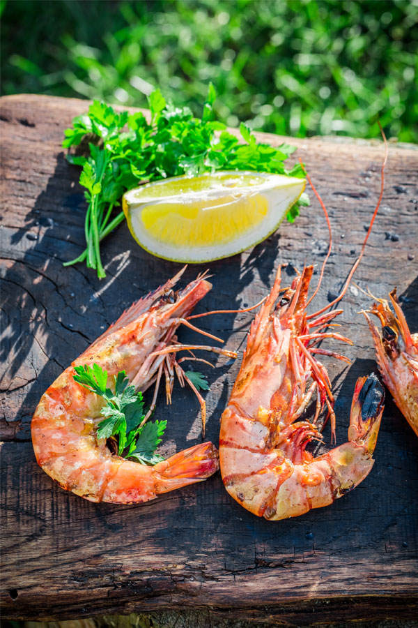 Shrimps: Proteine und Glücksgefühle