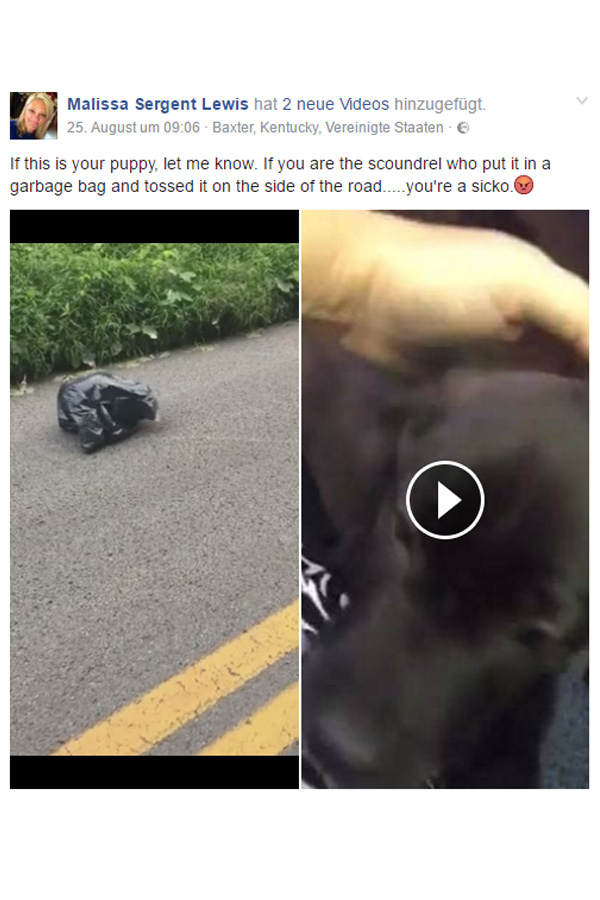 Frau findet Hund im Müllsack