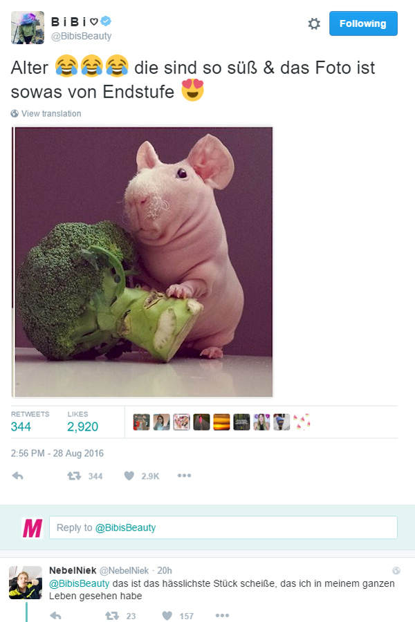 Bibi möchte ein Skinny Pig