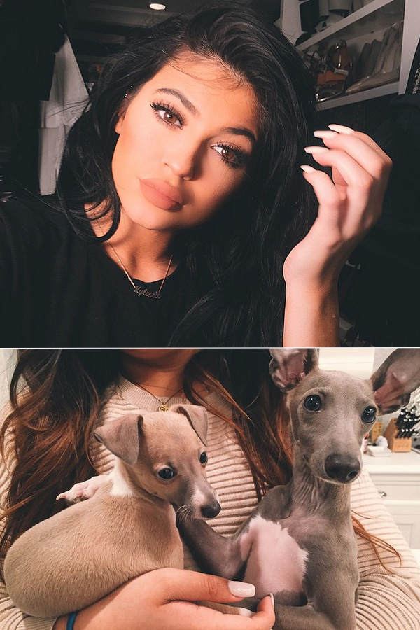 Kylie Jenner wurde wegen Tierquälerei angezeigt!