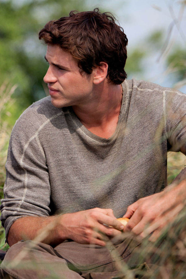 Liam Hemsworth „Hunger Games“: Nachher